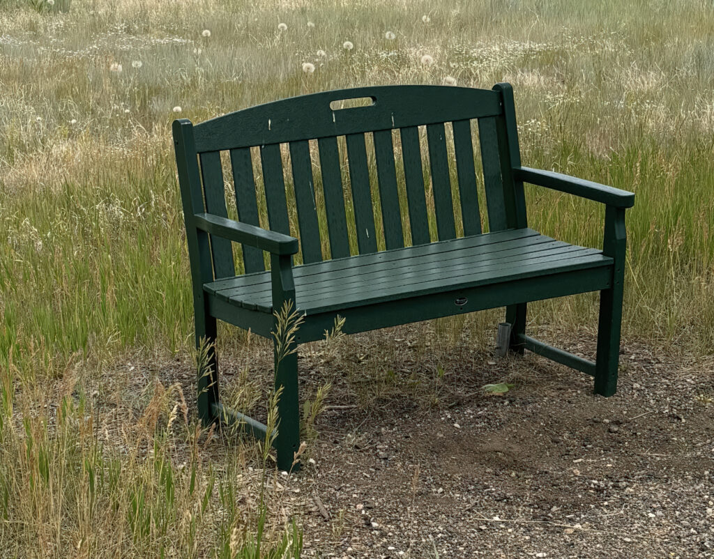 Green Trex Bench sitting in a grassy area at the Carbon Valley Library.